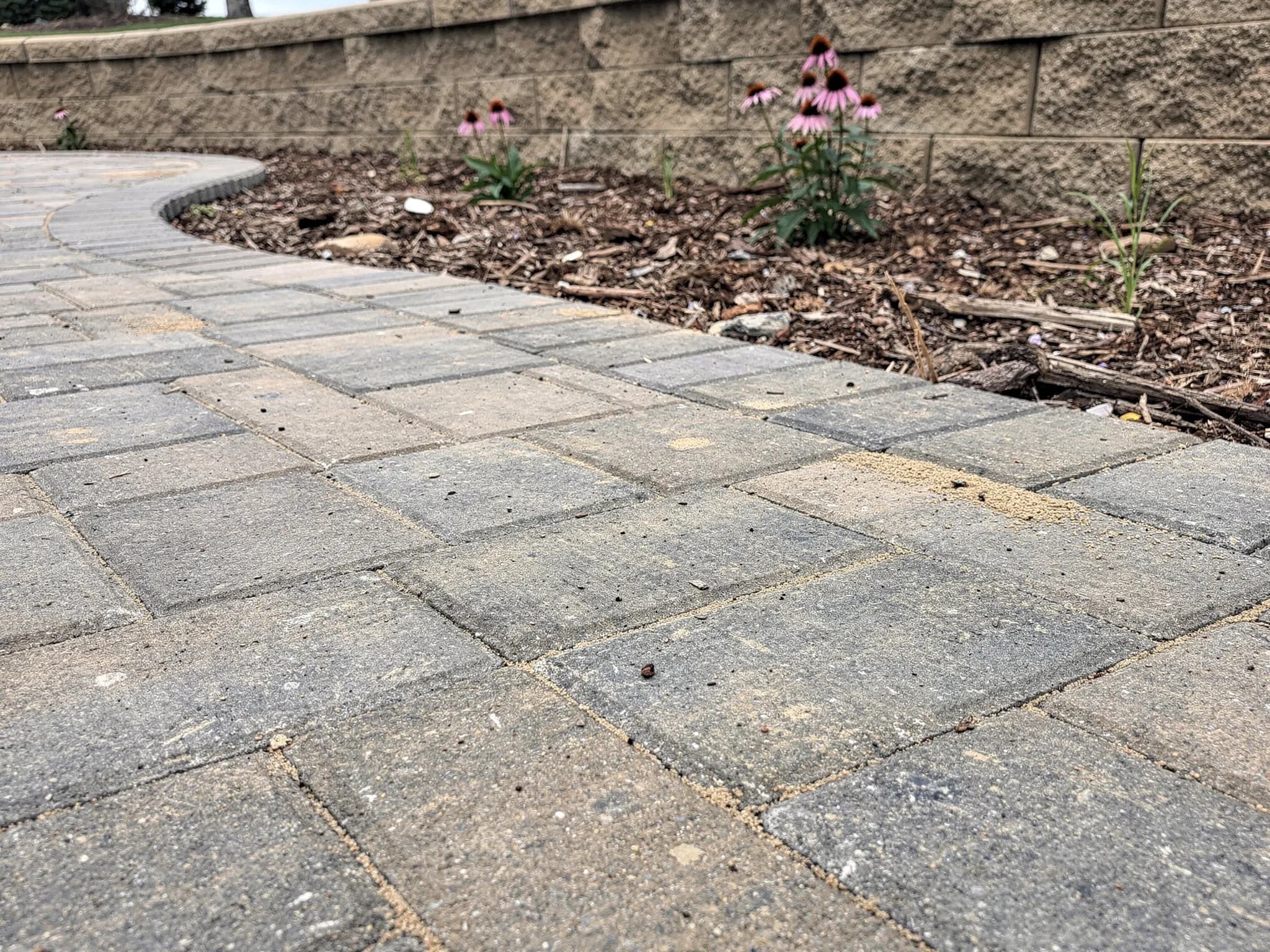 Landscapes designed & built